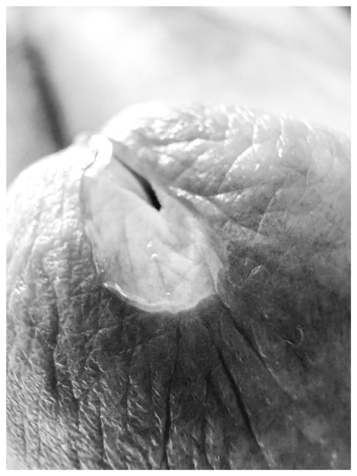 CE366C24-DC36-4E79-B2E2-37591C3C7F24.jpeg - artoflive