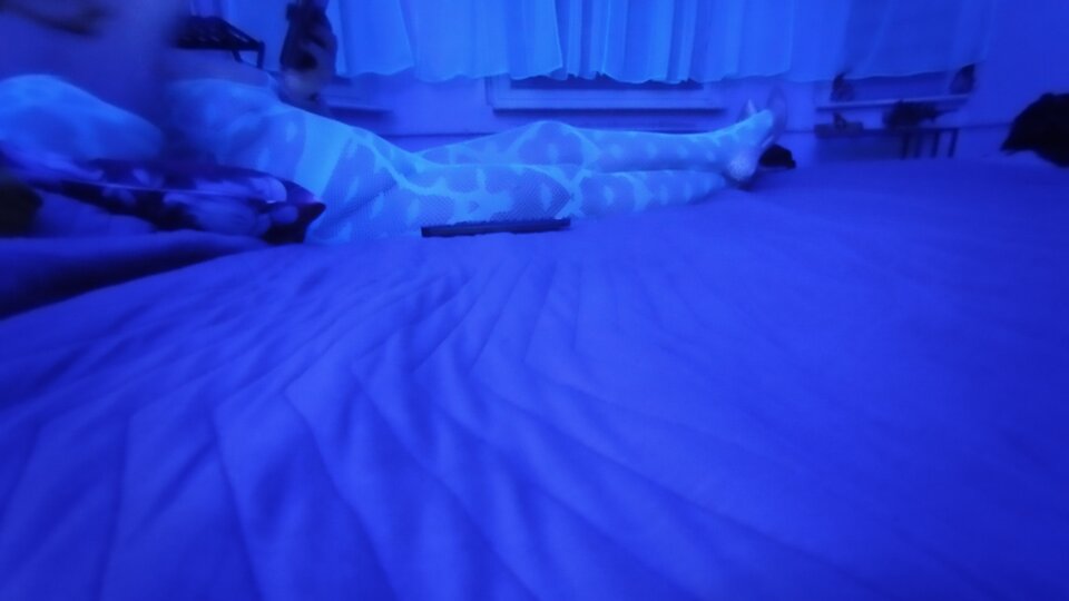 IMG_20260109_225833.jpg - Szkp1973