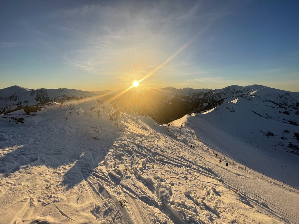 IMG_0483.jpeg - shadow2026