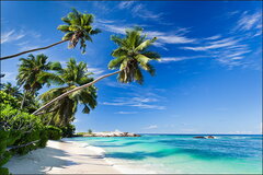 Fototapeta-Plaza-Ocean-Palmy.jpg