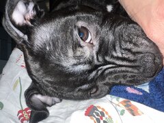 IMG_4132.jpeg