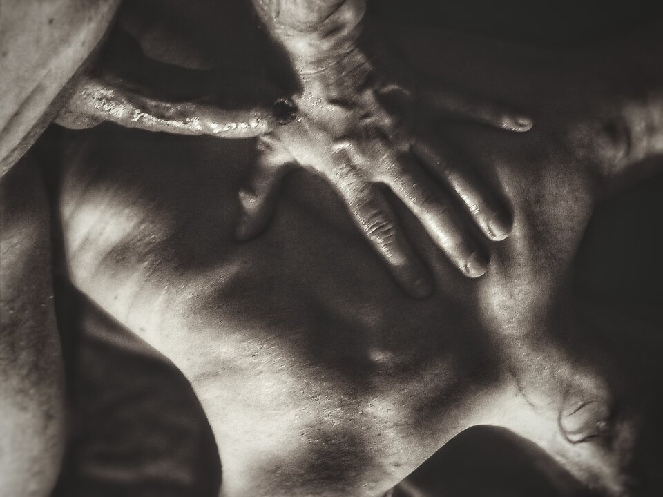 1000028535.jpg - WilkWadera