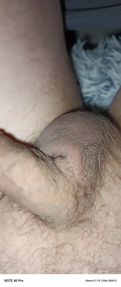 2026-01-1207.25.414320495784519058765.jpg - koniobijca51