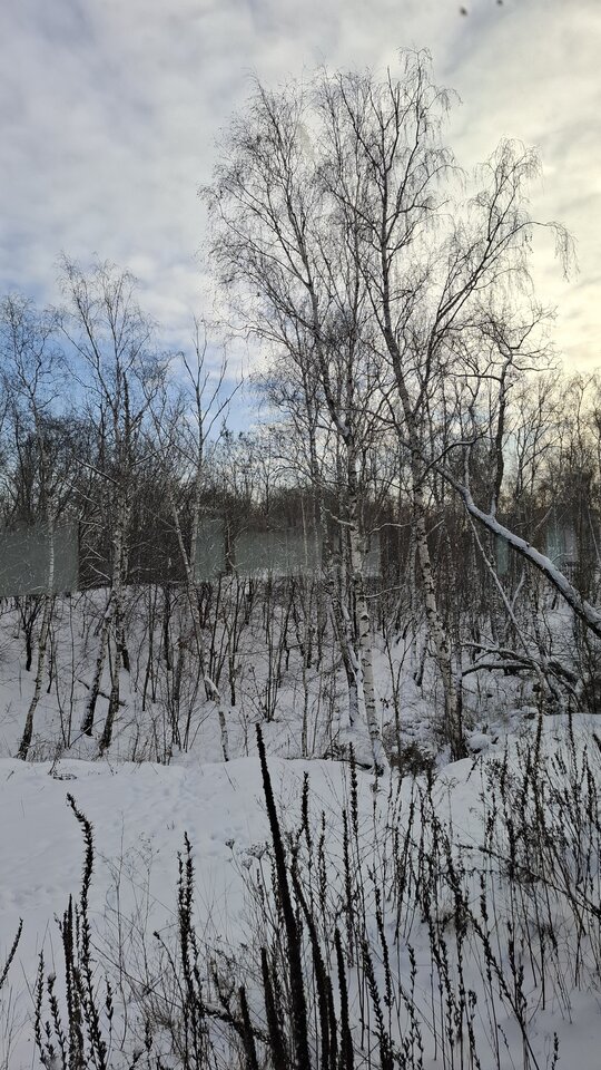 1000007661.jpg - Niekontatybilny