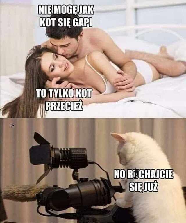 Kocur_z_pasja_foto