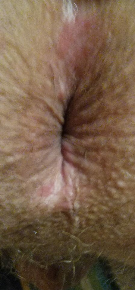 IMG-20260112-WA0001.jpg - piotrek2102