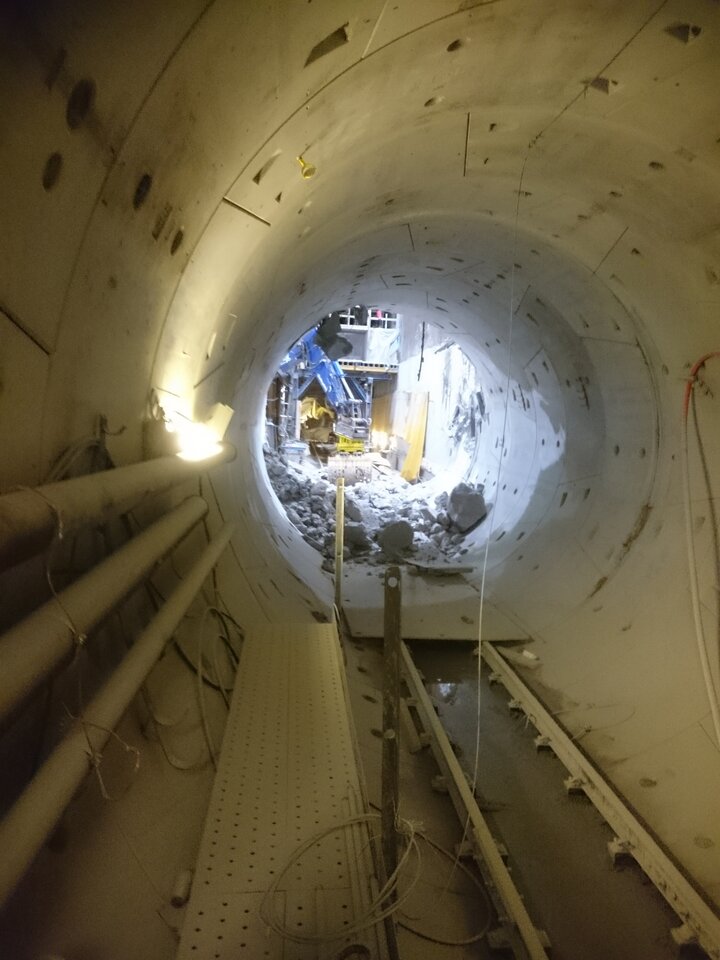 DSC_0015_Original.jpeg - Albert8109