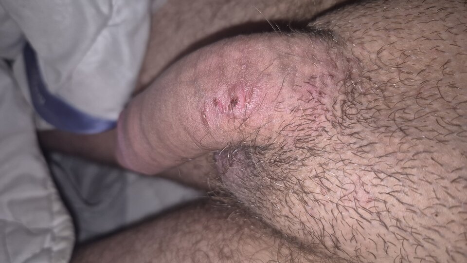 1000012662.jpg - Porobiony8530