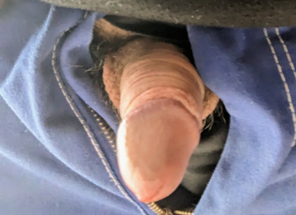 1000011865.jpg - Brutus445