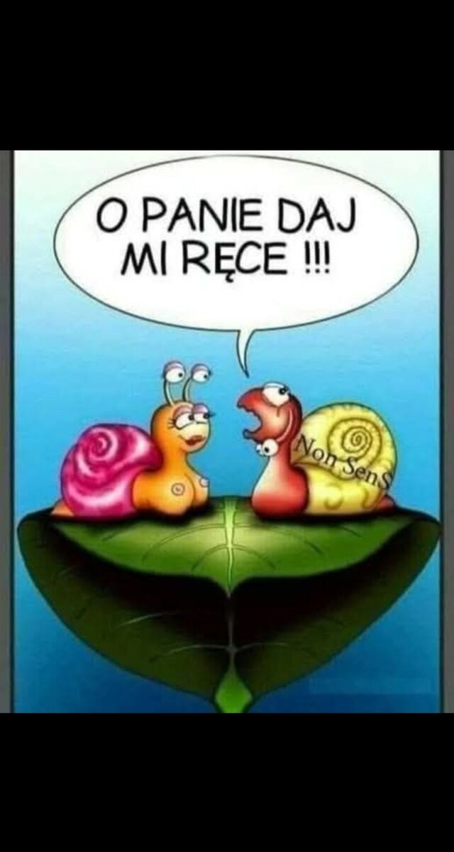 Mistrz81Malgorzata84