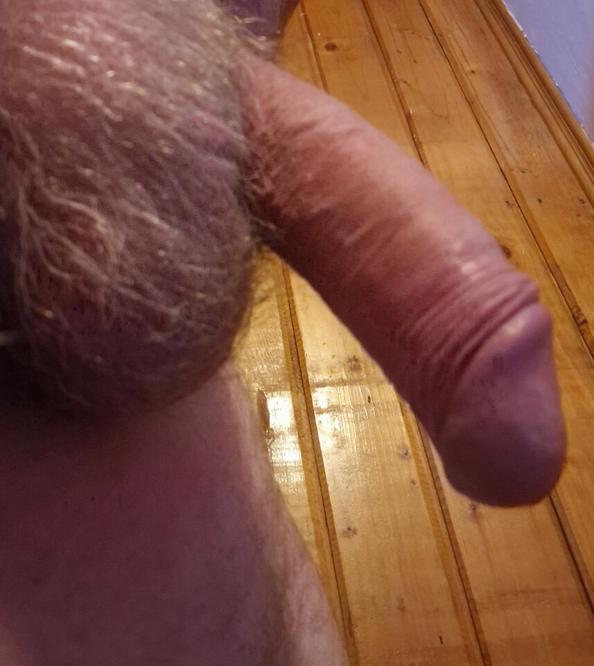 1000044562.jpg - ADAM_1_1