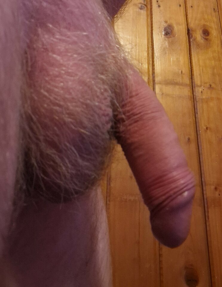 1000044558.jpg - ADAM_1_1