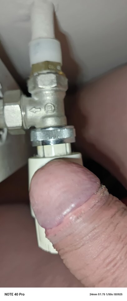 2026-01-1315.35.315251024990418234775.jpg - koniobijca51