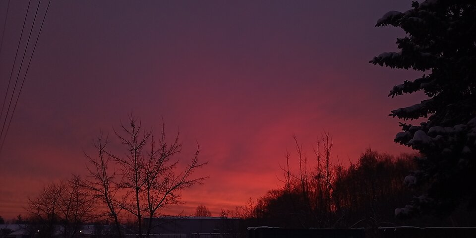 Zimowy poranek  - Beehemoth