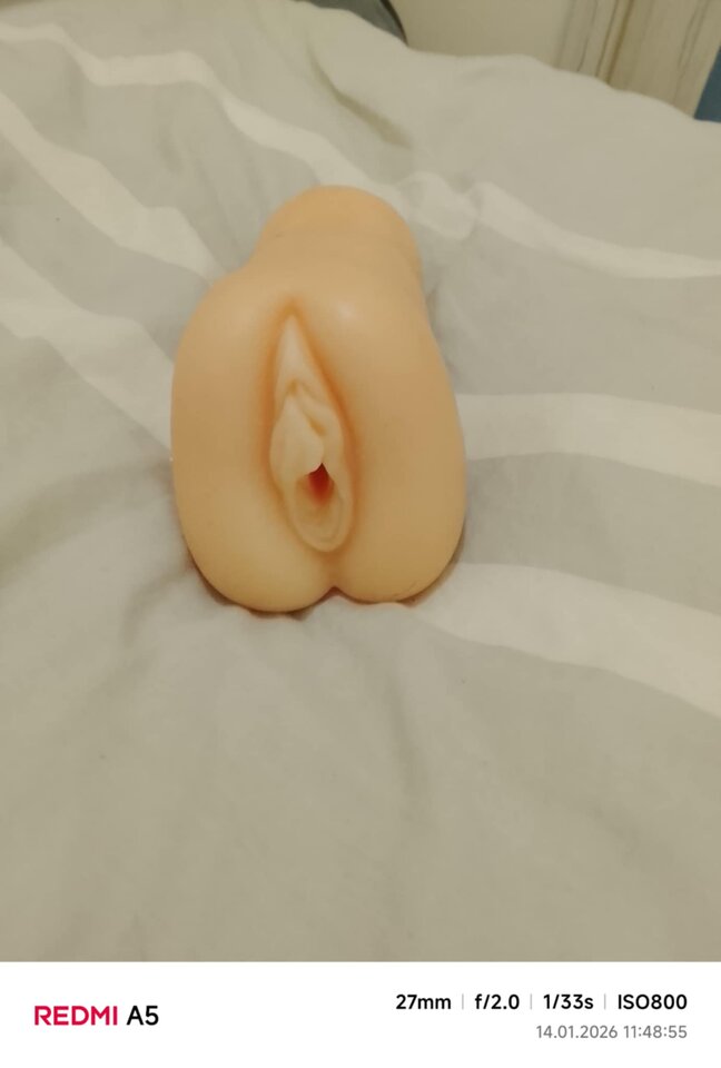 dd5262ad-4592-47b2-abe8-f7273d8dd3f9.jpg - Thomaa8110