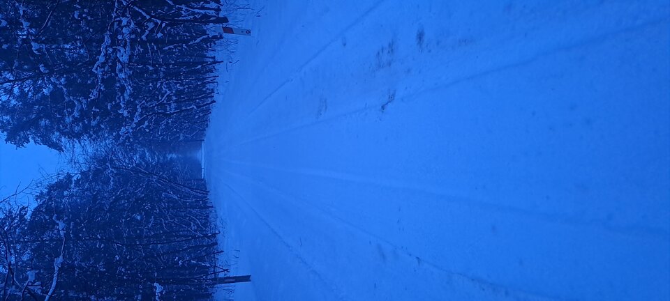 1000027211.jpg - grafb1