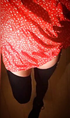 SUKA W POŃCZOCHACH.jpg