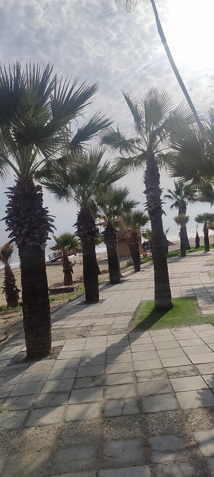 IMG_20260107_120723.jpg - Singiel44on