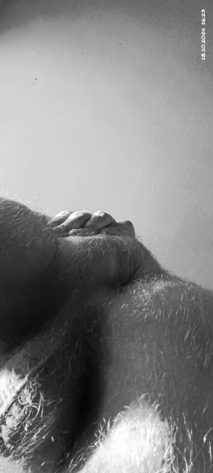 IMG_20241018_162325.jpg - Tomek698107