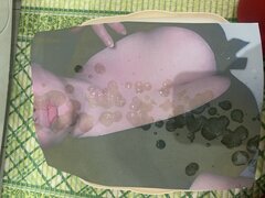 IMG_3933.jpeg