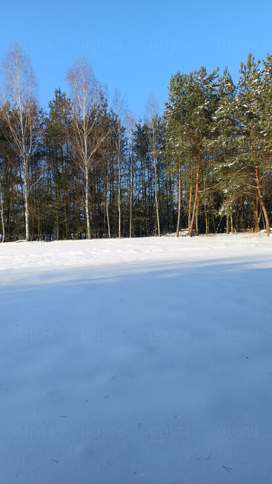 1000011508.jpg - krzysm16