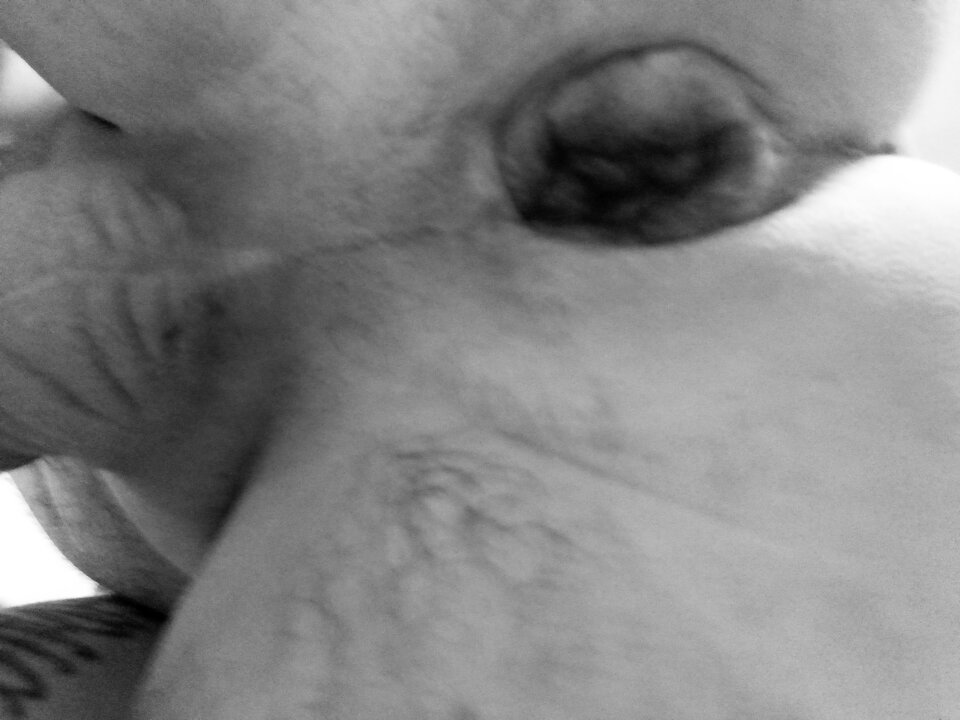 1000002021.jpg - rafal1410