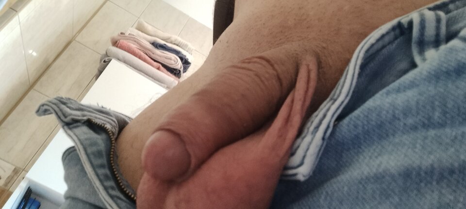 1000021498.jpg - cypis2039