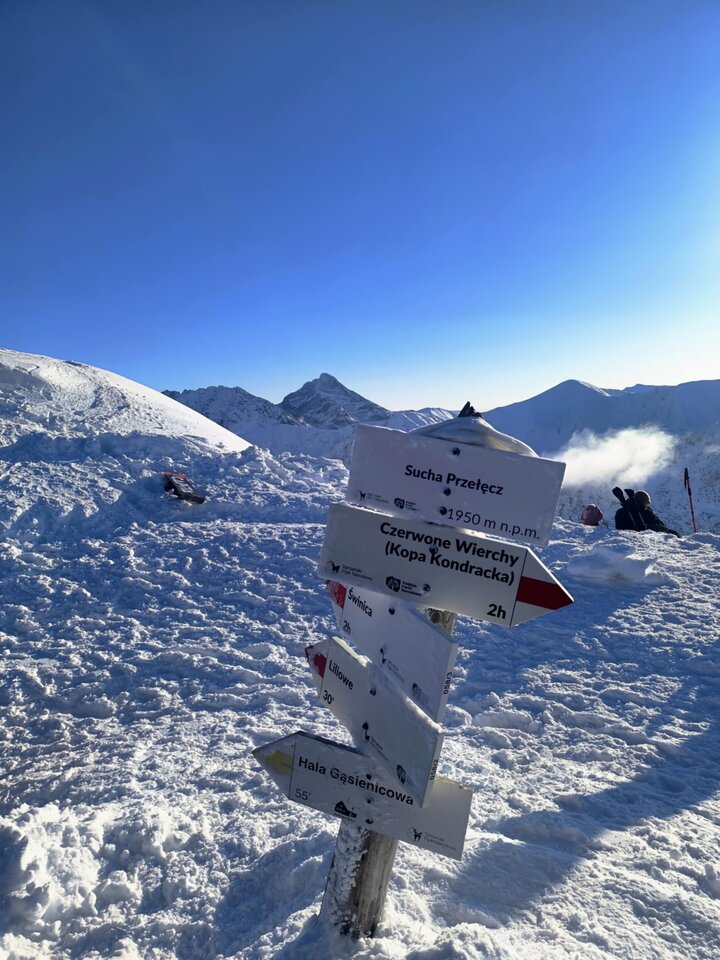 1666.jpg - Kwiatnocy00