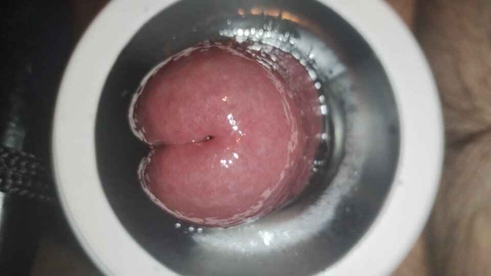 1000505885.jpg - Maxi1001