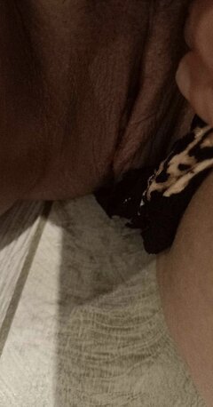 IMG_5255.jpeg