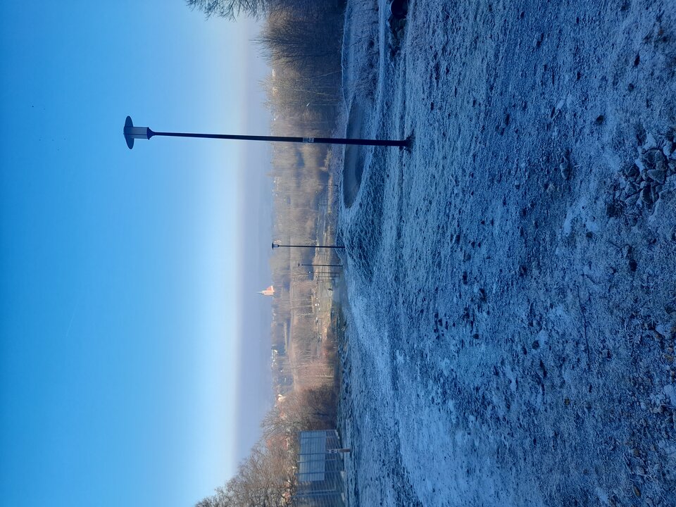 17687419884542903215358801177133.jpg - PASSARATTI