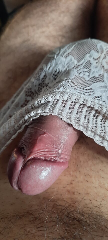 5291.jpg - Pablousisi