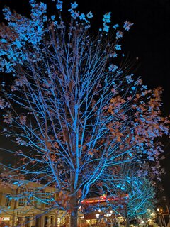 IMG_20251101_190309.jpg