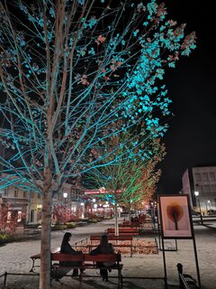 IMG_20251101_190227.jpg