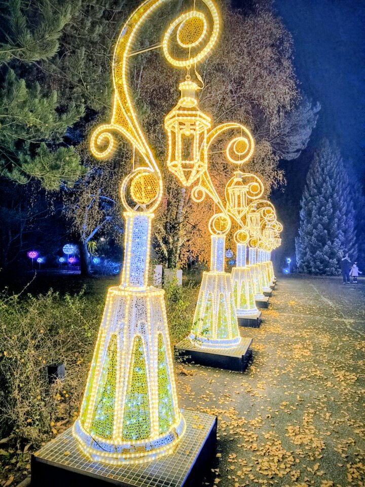 1000012226.jpg - Hedera