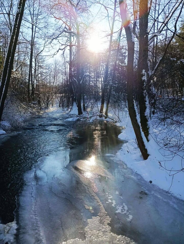 1000059187.jpg - Kamasutra1973