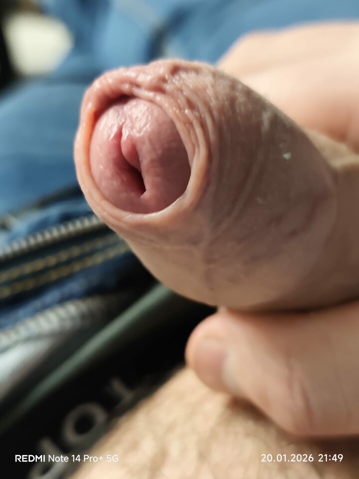 2399.jpg - Bazyliszek1906