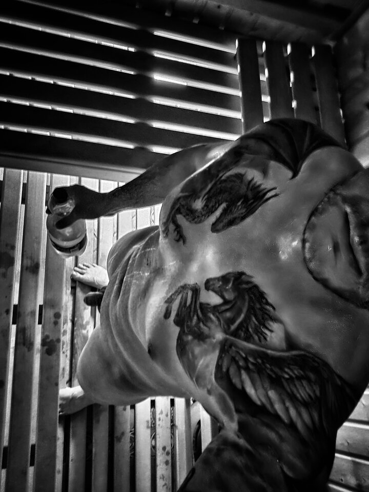 19404.jpg - Seilling