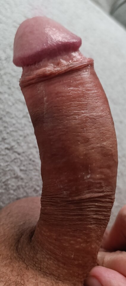 1000022831.jpg - Ko_chanek1