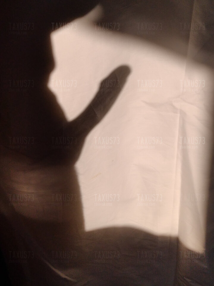 IMG_20260122_141113.jpg - taxus73