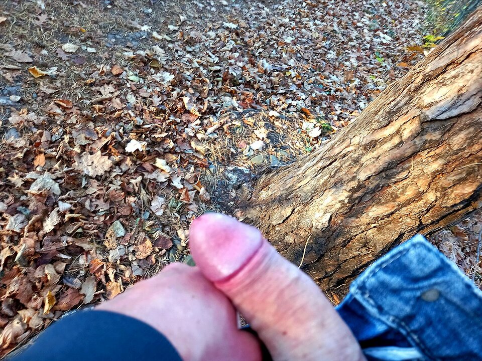 Jesienne 2024r - PlenerowyLive