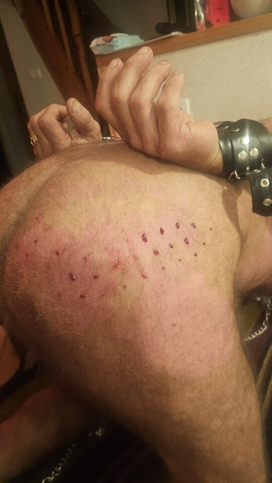 20240802_232458.jpg - Kink_Wink