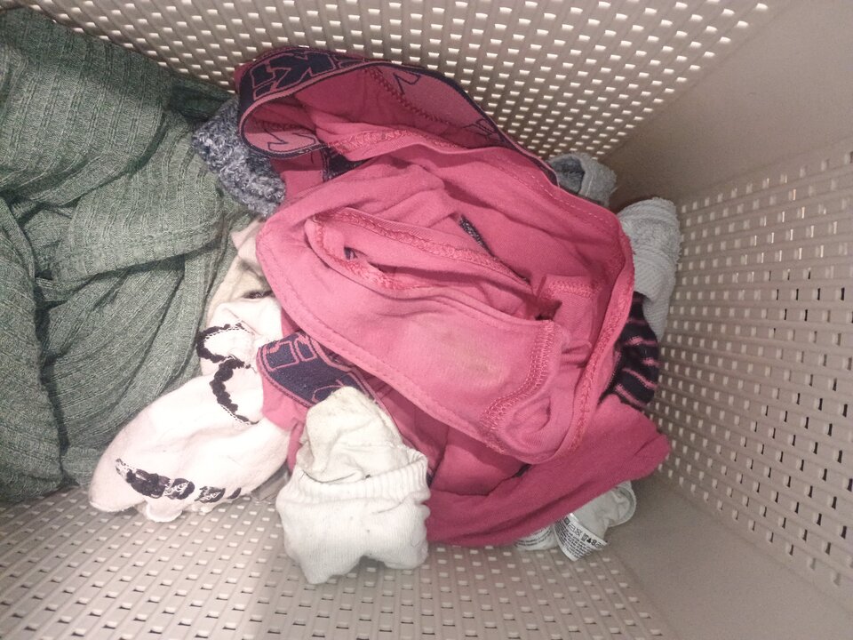 IMG_20260123_125842747.jpg - Marcin0051