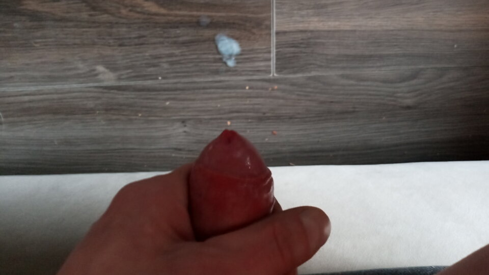 20240410_083517.jpg - KochanekGrzegorz