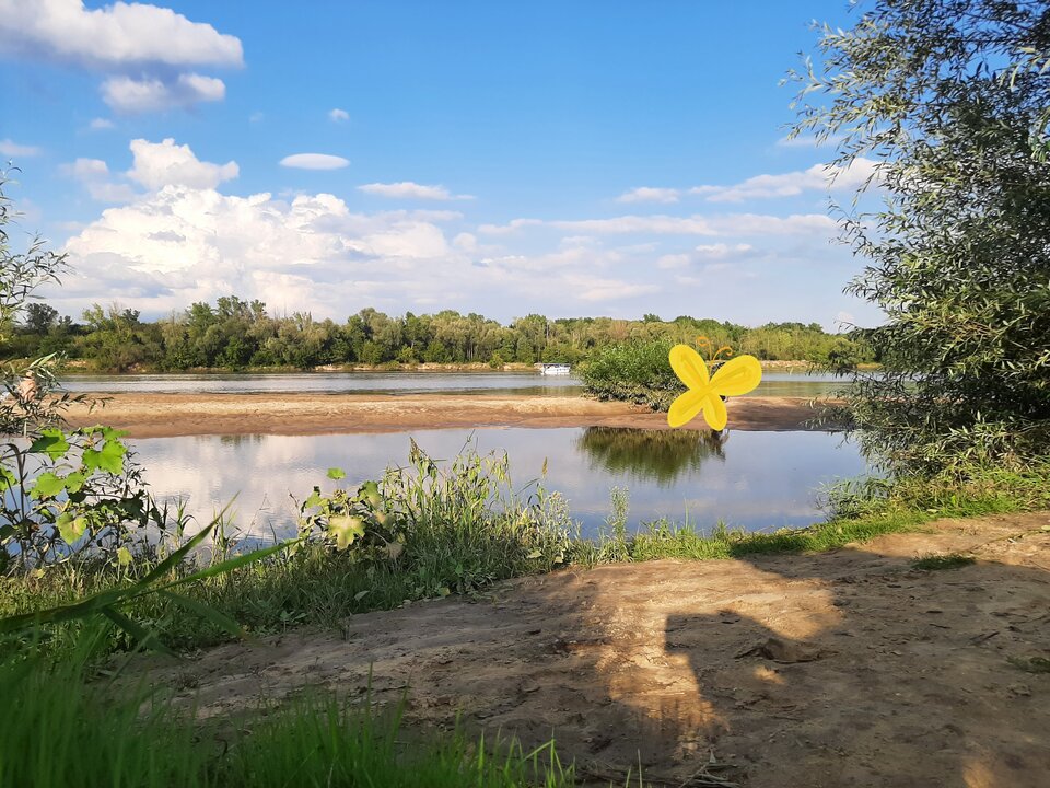 20230813_180532.jpg - Masazystasamolug