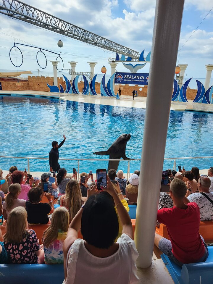 SEALANYA - Amorek3210