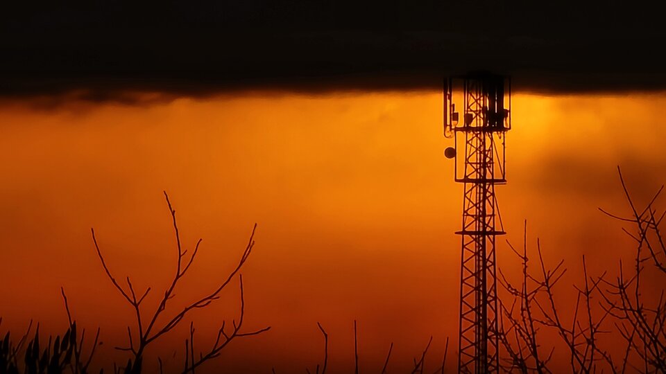 1000011291.jpg - jarogay