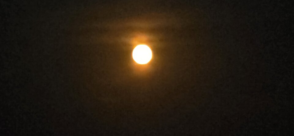 1000010435.jpg - jarogay