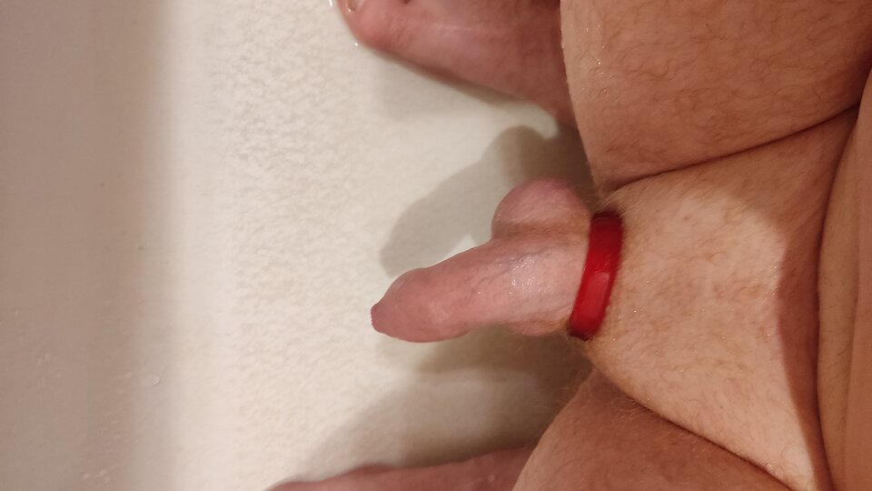 1000069517.jpg - tygrysekl