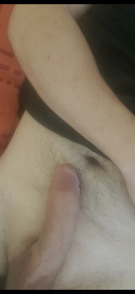 1000003570.jpg - dog132